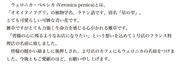 veronica persica introduction